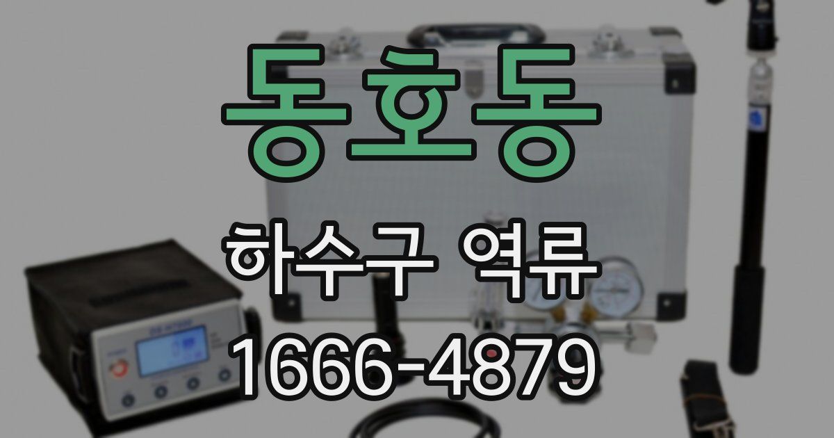 동호동 하수구 역류