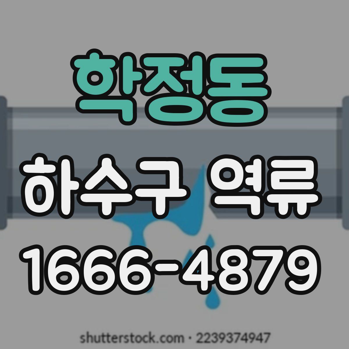 학정동 하수구 역류