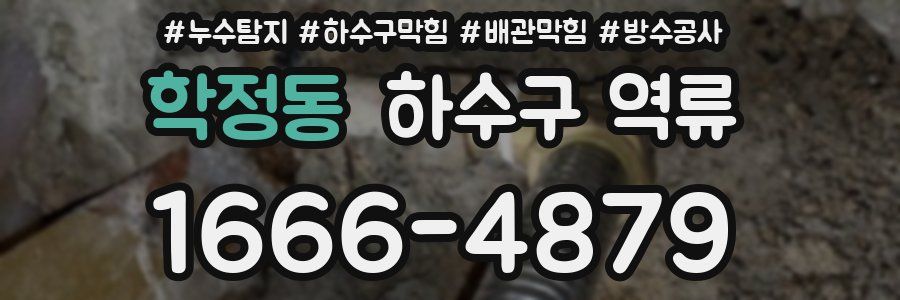 학정동 하수구 역류