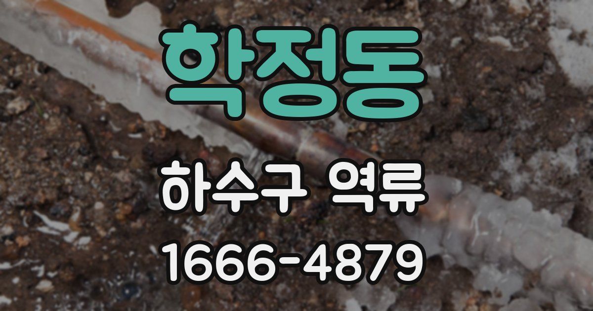 학정동 하수구 역류