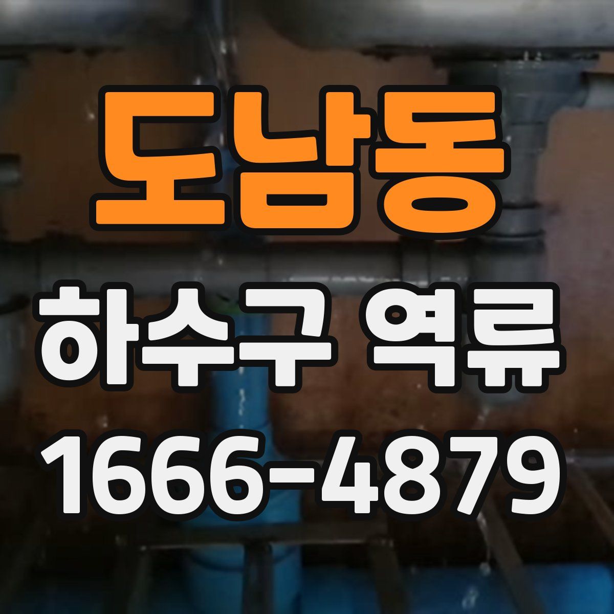 도남동 하수구 역류
