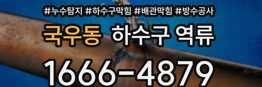 국우동 하수구 역류