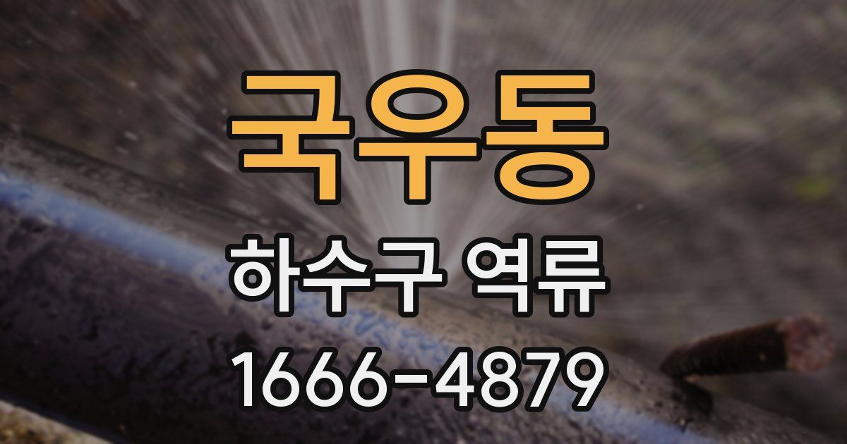 국우동 하수구 역류