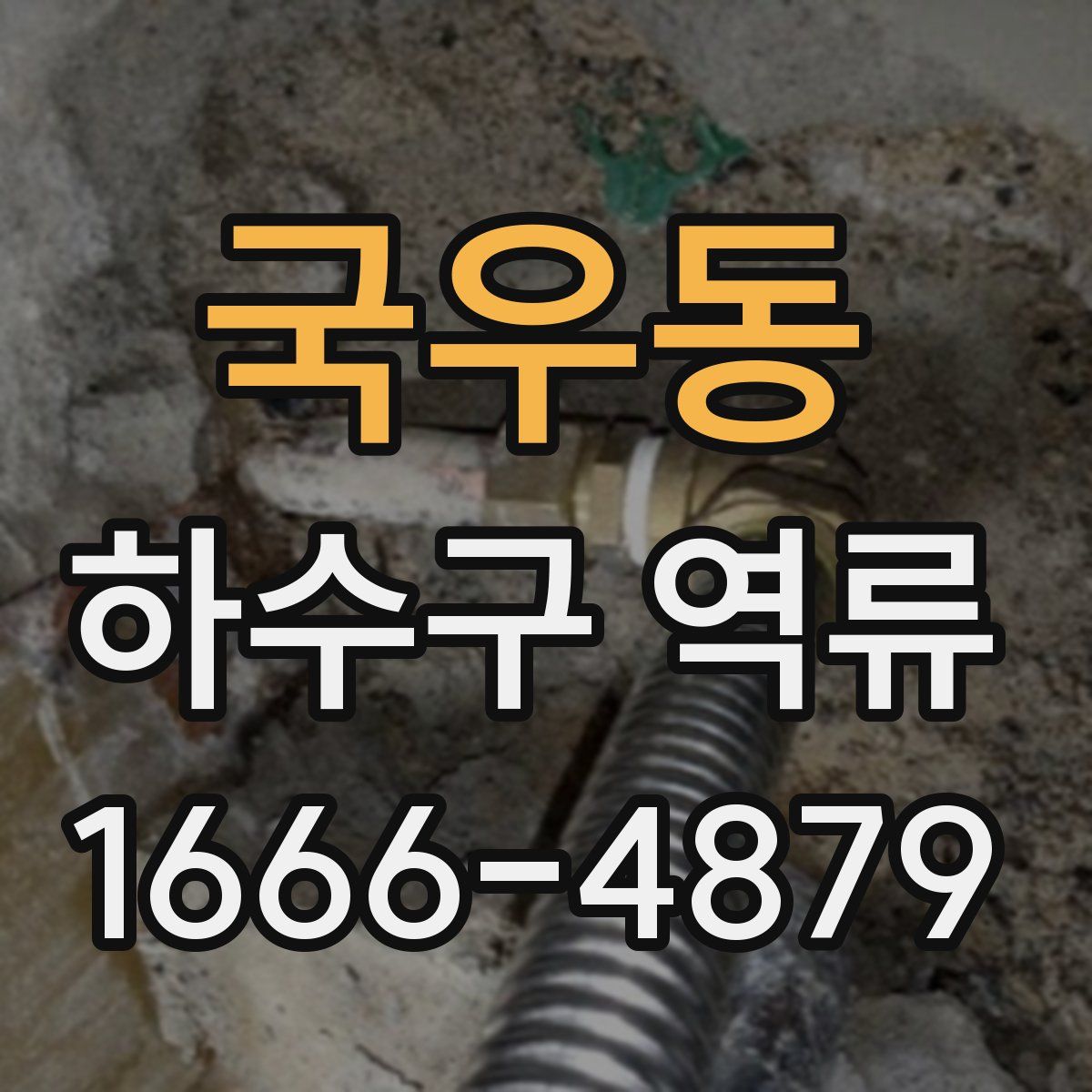 국우동 하수구 역류