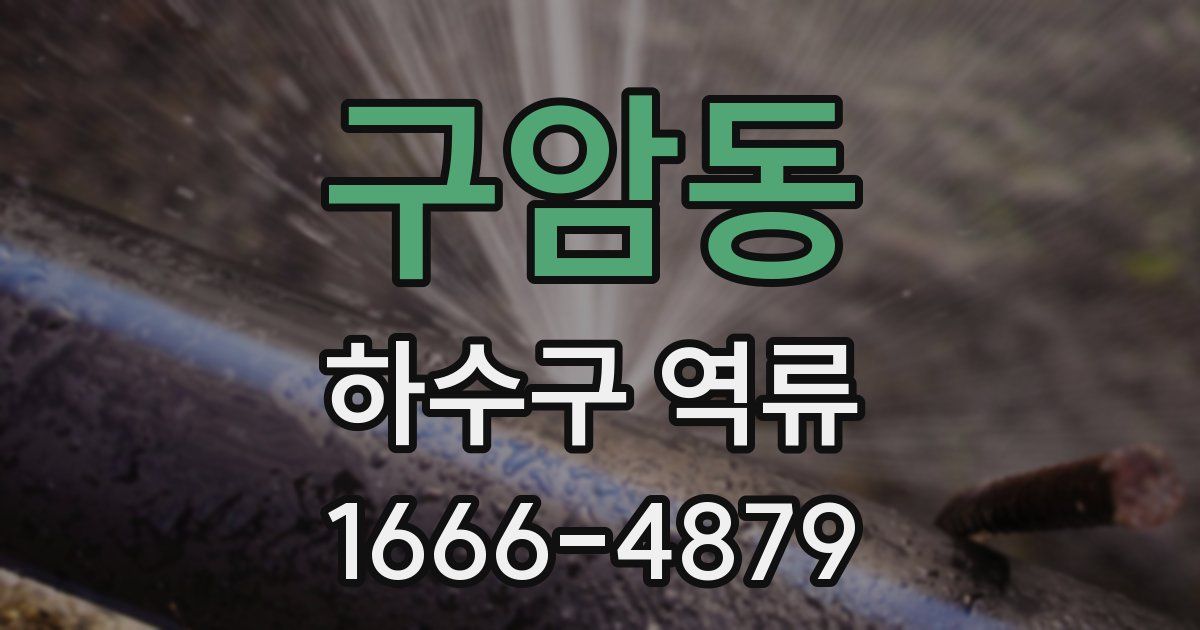 구암동 하수구 역류