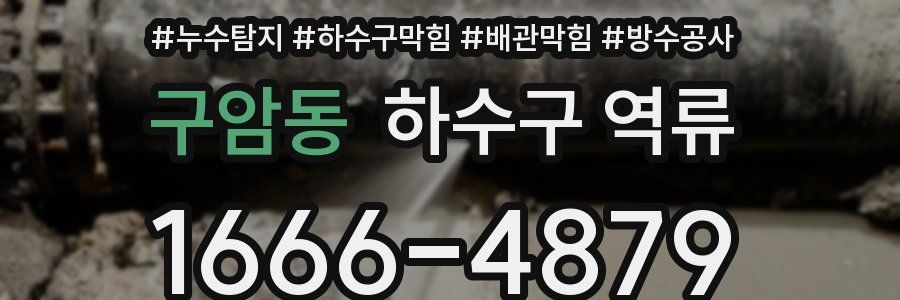 구암동 하수구 역류
