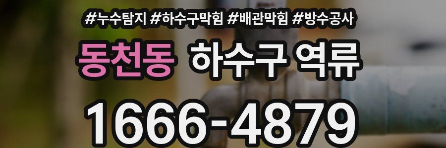 동천동 하수구 역류
