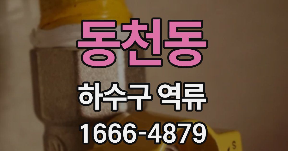 동천동 하수구 역류