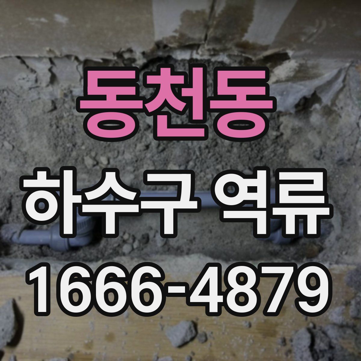 동천동 하수구 역류