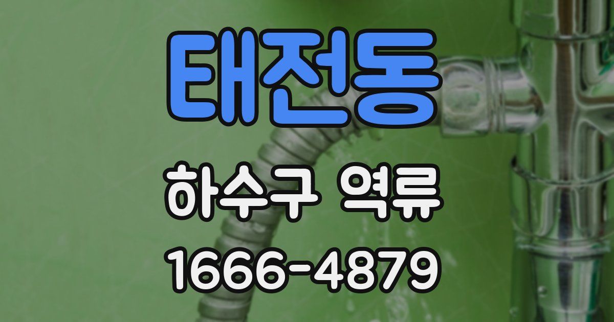 태전동 하수구 역류