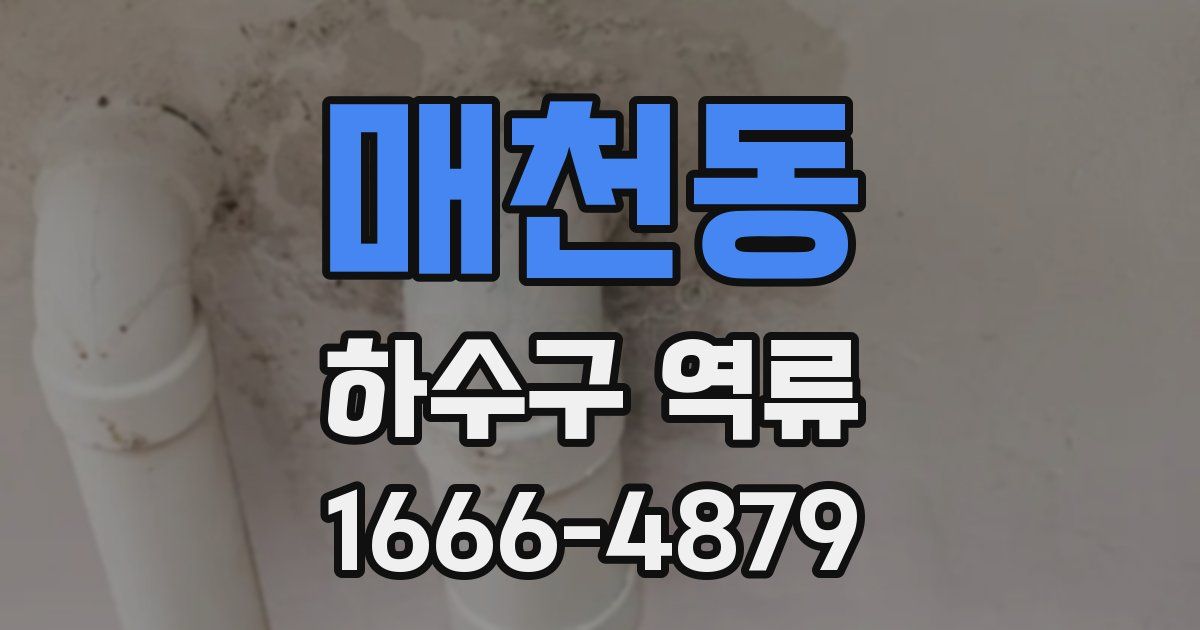 매천동 하수구 역류