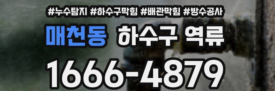 매천동 하수구 역류