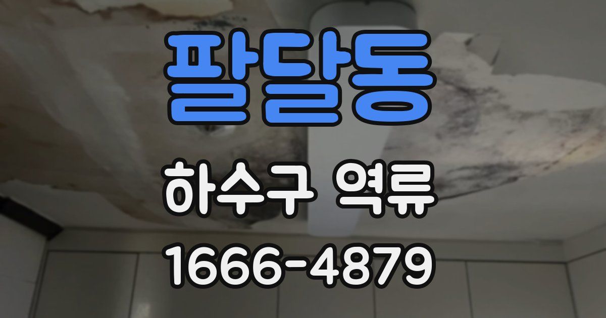 팔달동 하수구 역류