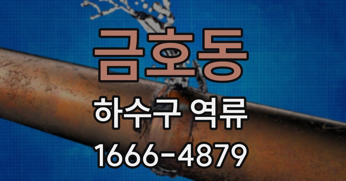금호동 하수구 역류