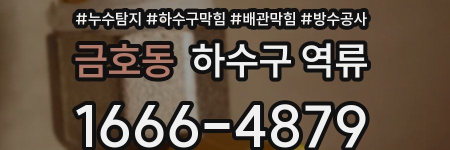 금호동 하수구 역류
