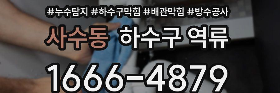 사수동 하수구 역류