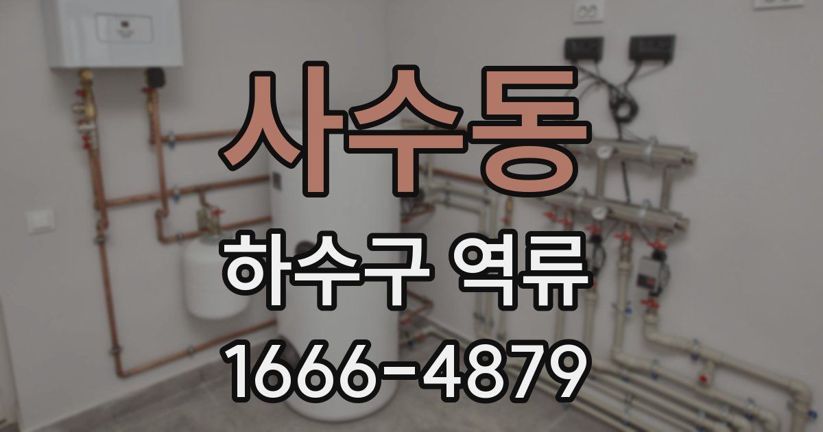 사수동 하수구 역류