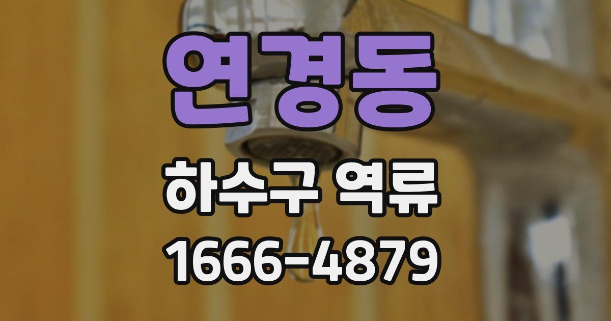 연경동 하수구 역류