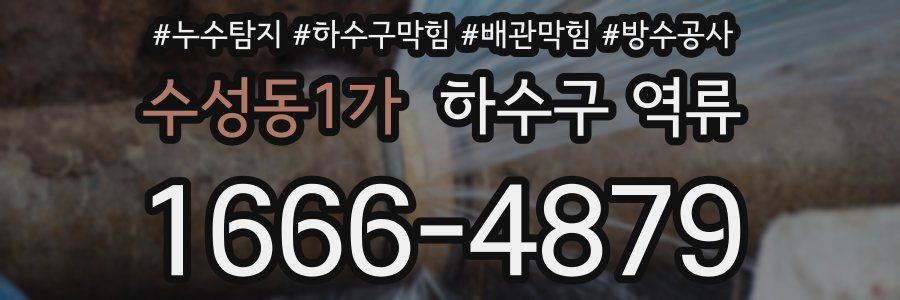 수성동1가 하수구 역류