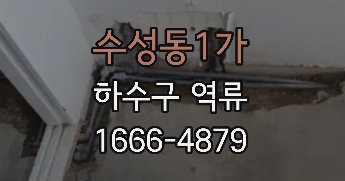 수성동1가 하수구 역류