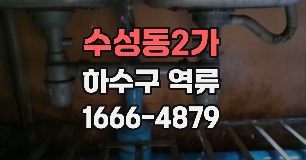 수성동2가 하수구 역류