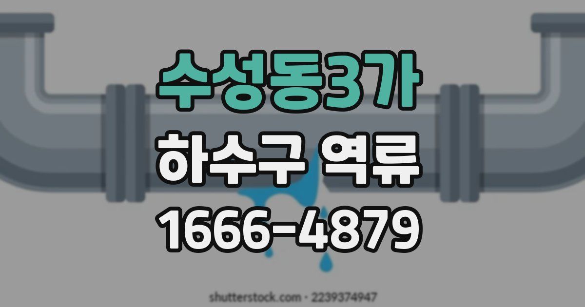 수성동3가 하수구 역류