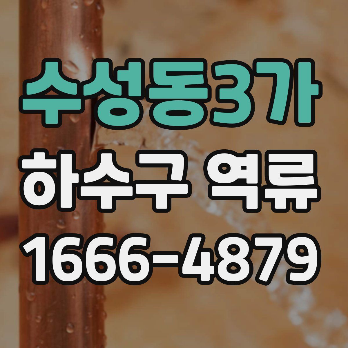 수성동3가 하수구 역류