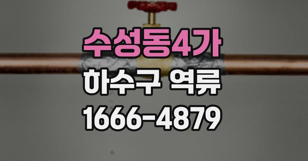 수성동4가 하수구 역류