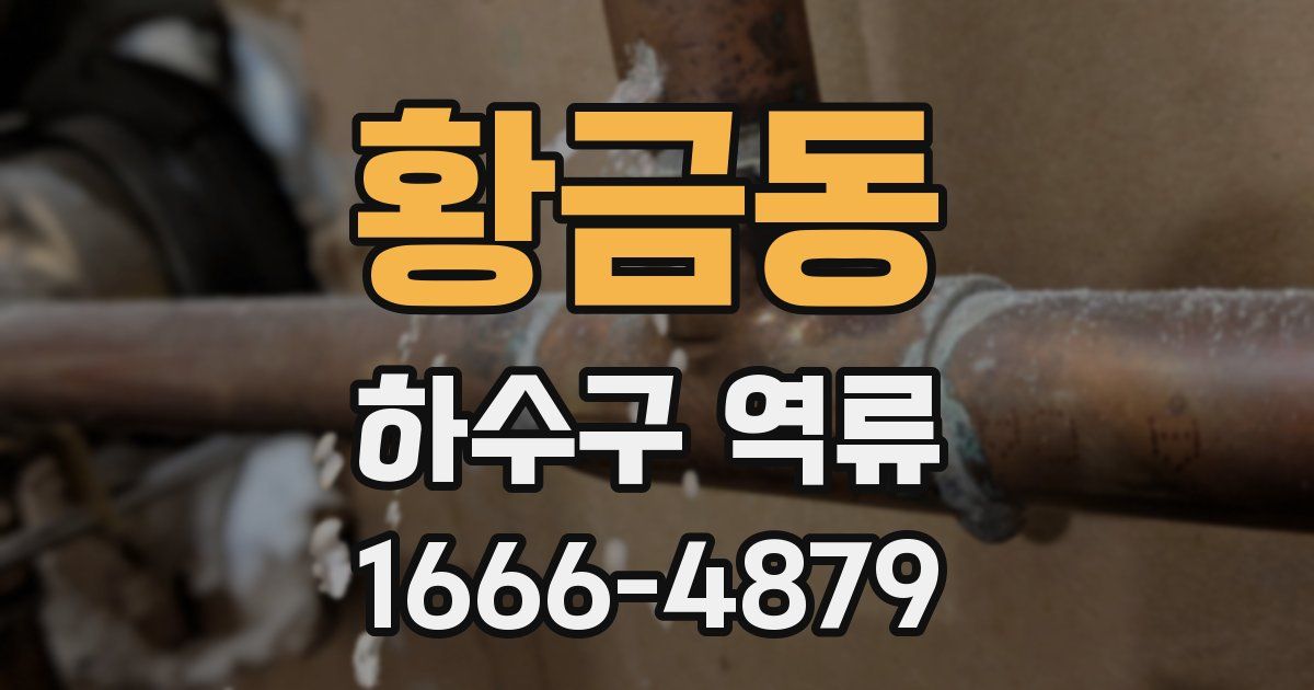 황금동 하수구 역류