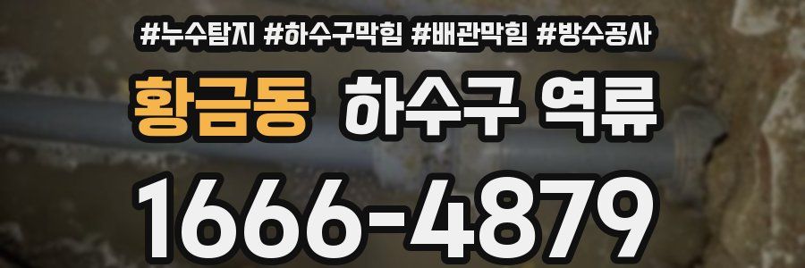 황금동 하수구 역류