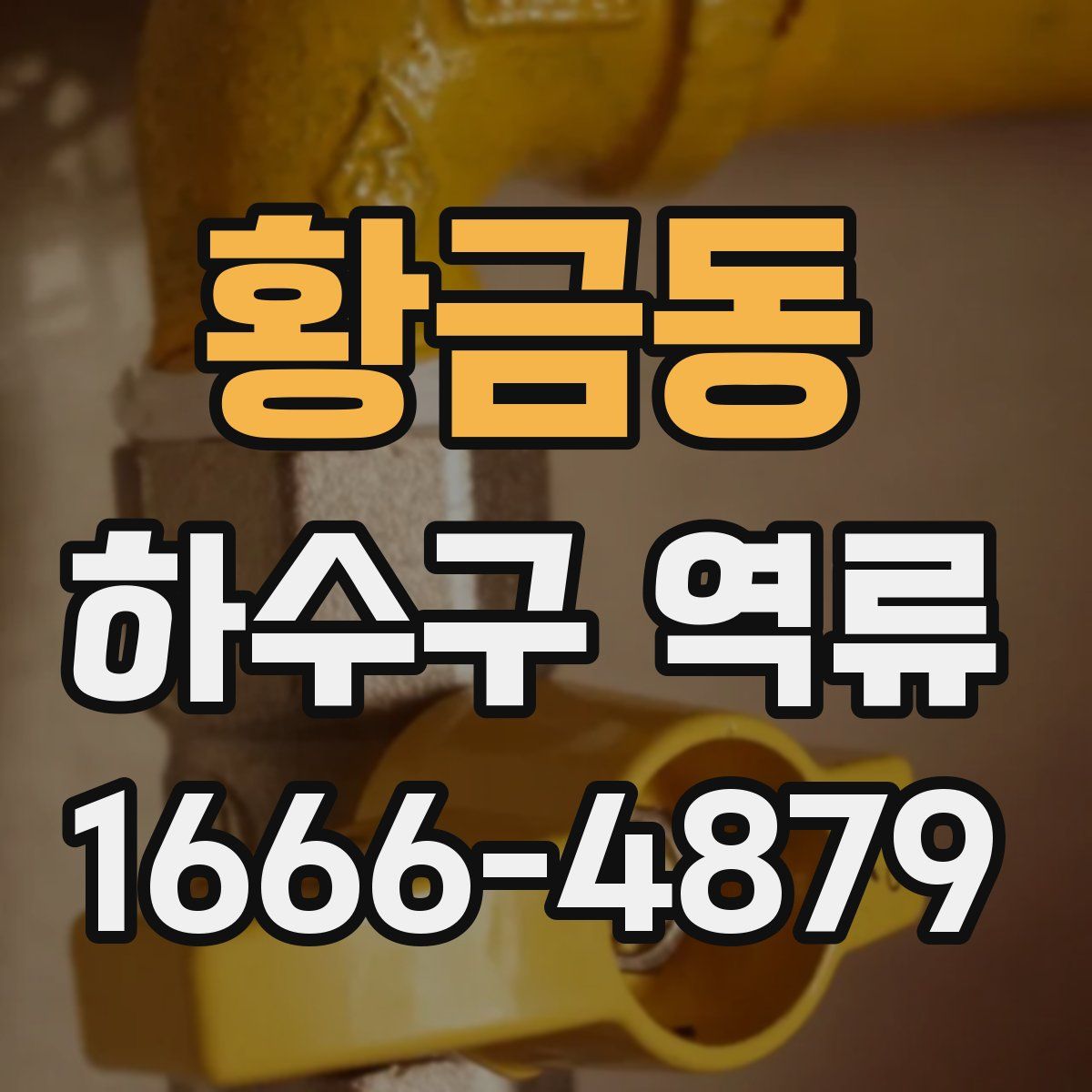 황금동 하수구 역류