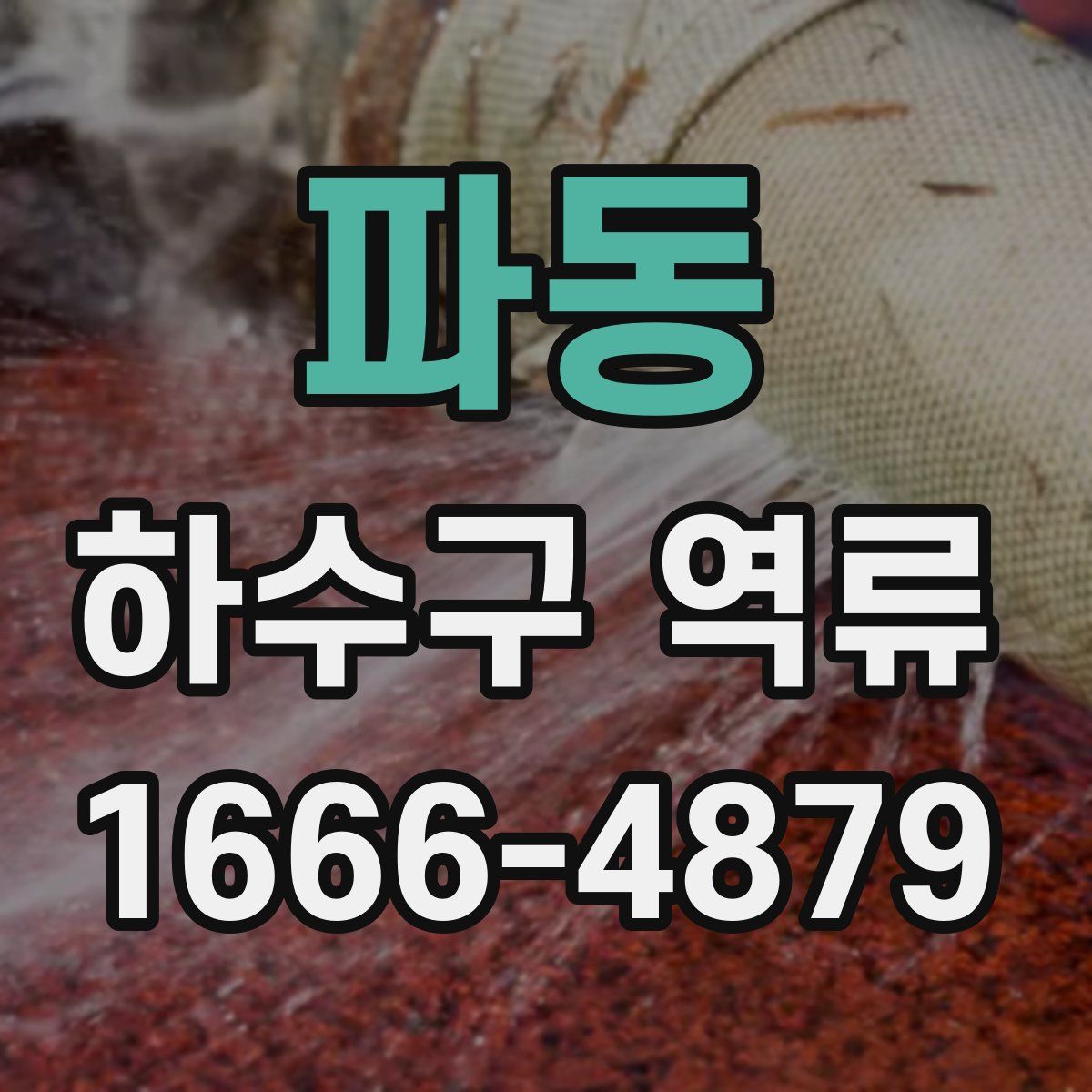 파동 하수구 역류