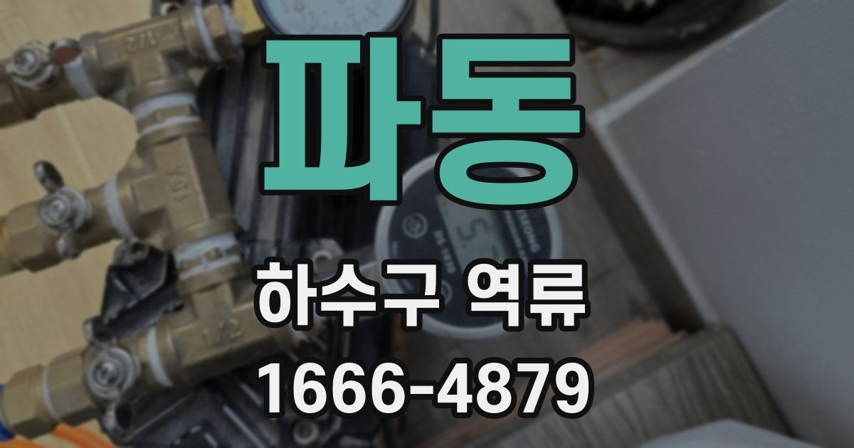 파동 하수구 역류