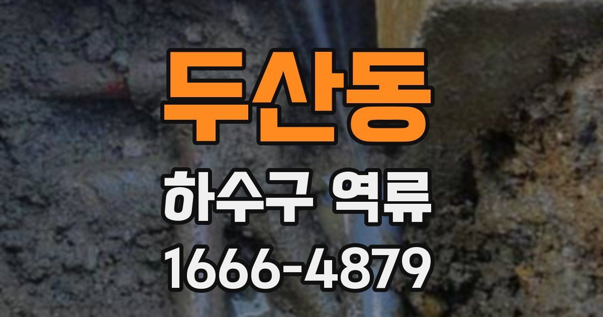 두산동 하수구 역류