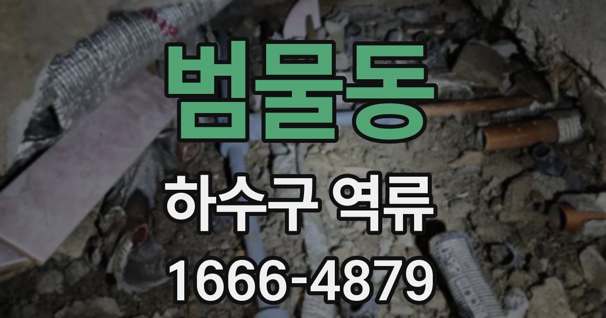 범물동 하수구 역류