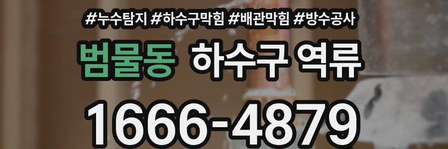 범물동 하수구 역류