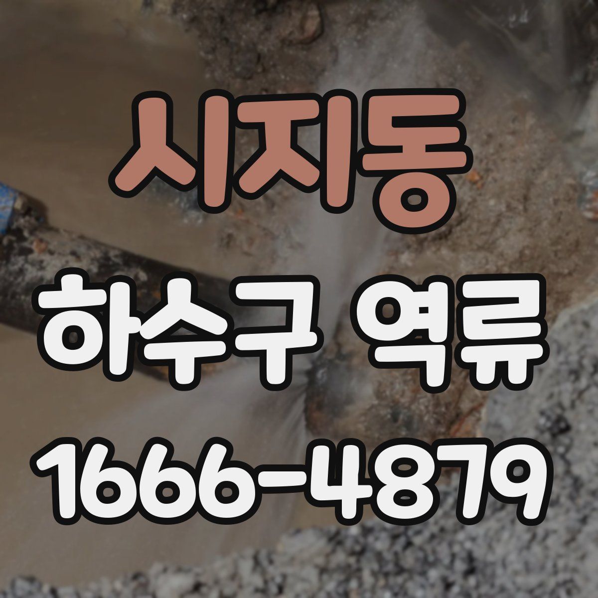 시지동 하수구 역류