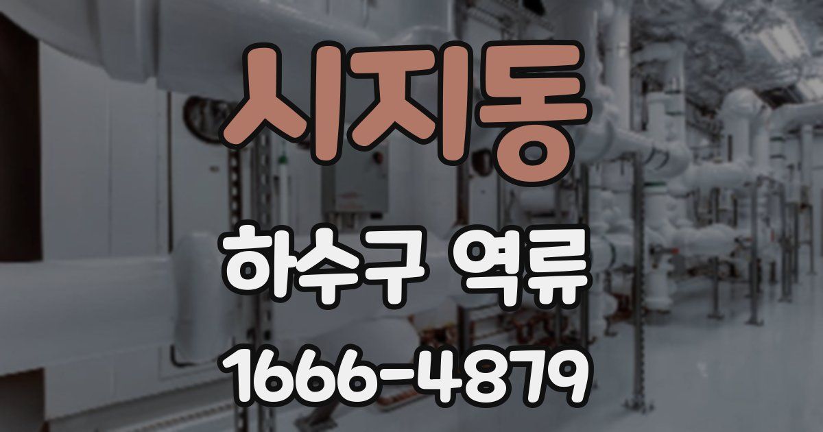 시지동 하수구 역류