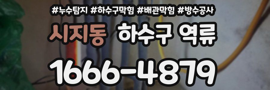 시지동 하수구 역류