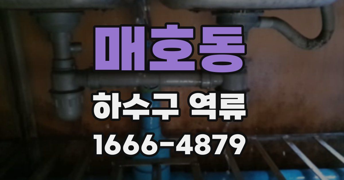 매호동 하수구 역류