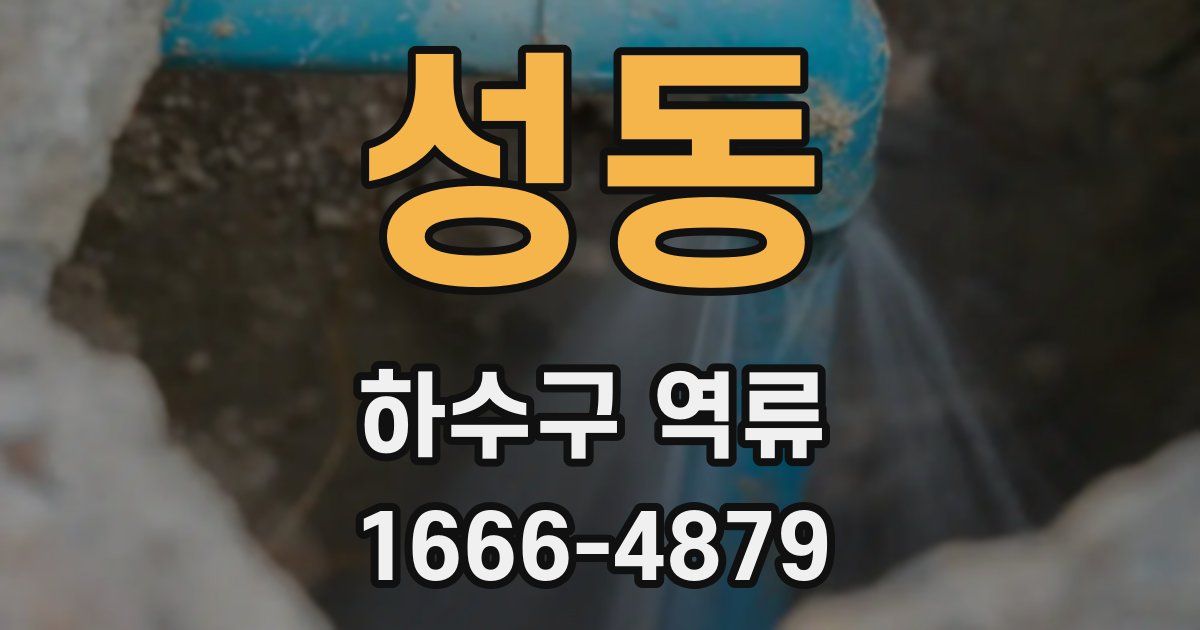 성동 하수구 역류