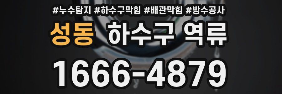 성동 하수구 역류