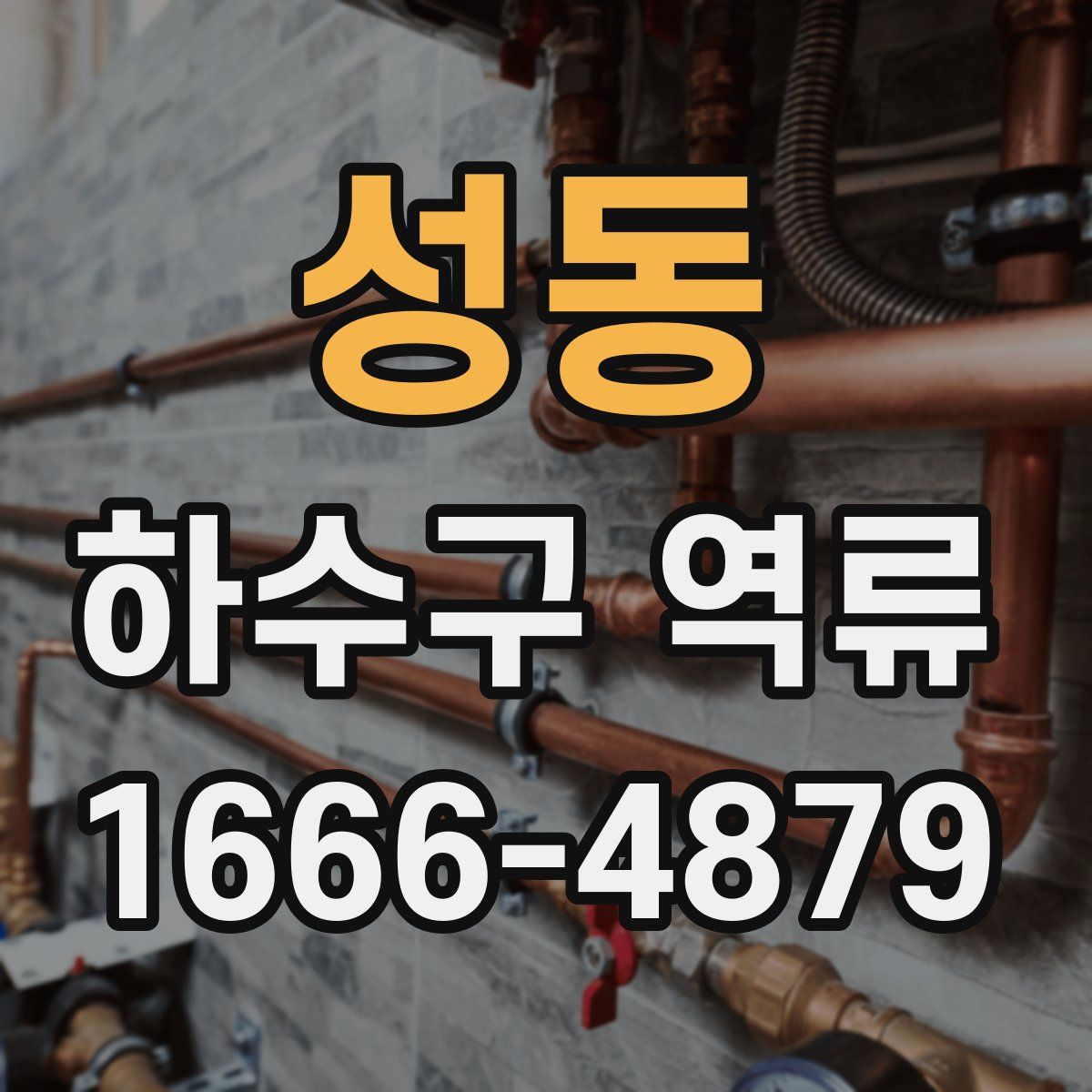성동 하수구 역류