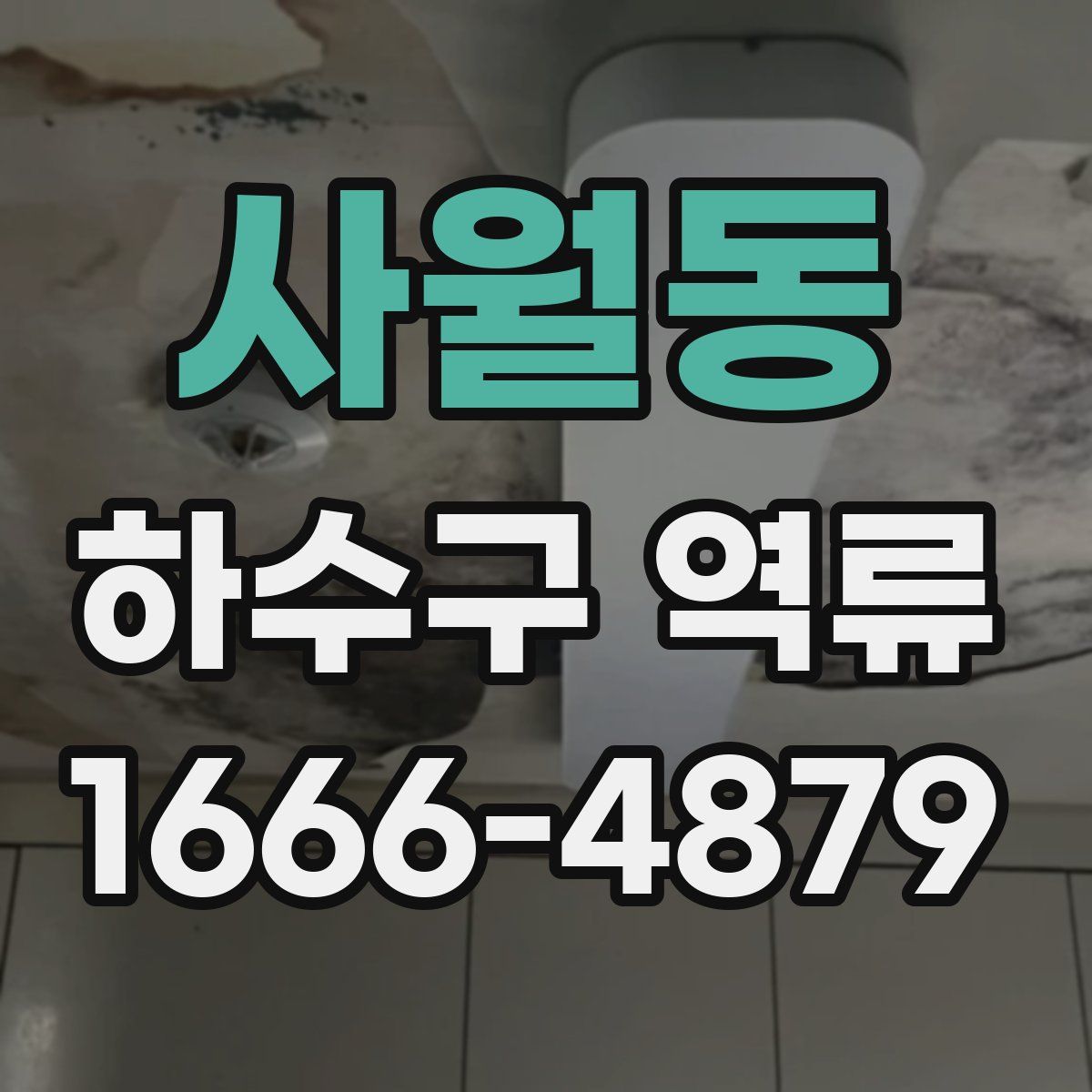 사월동 하수구 역류