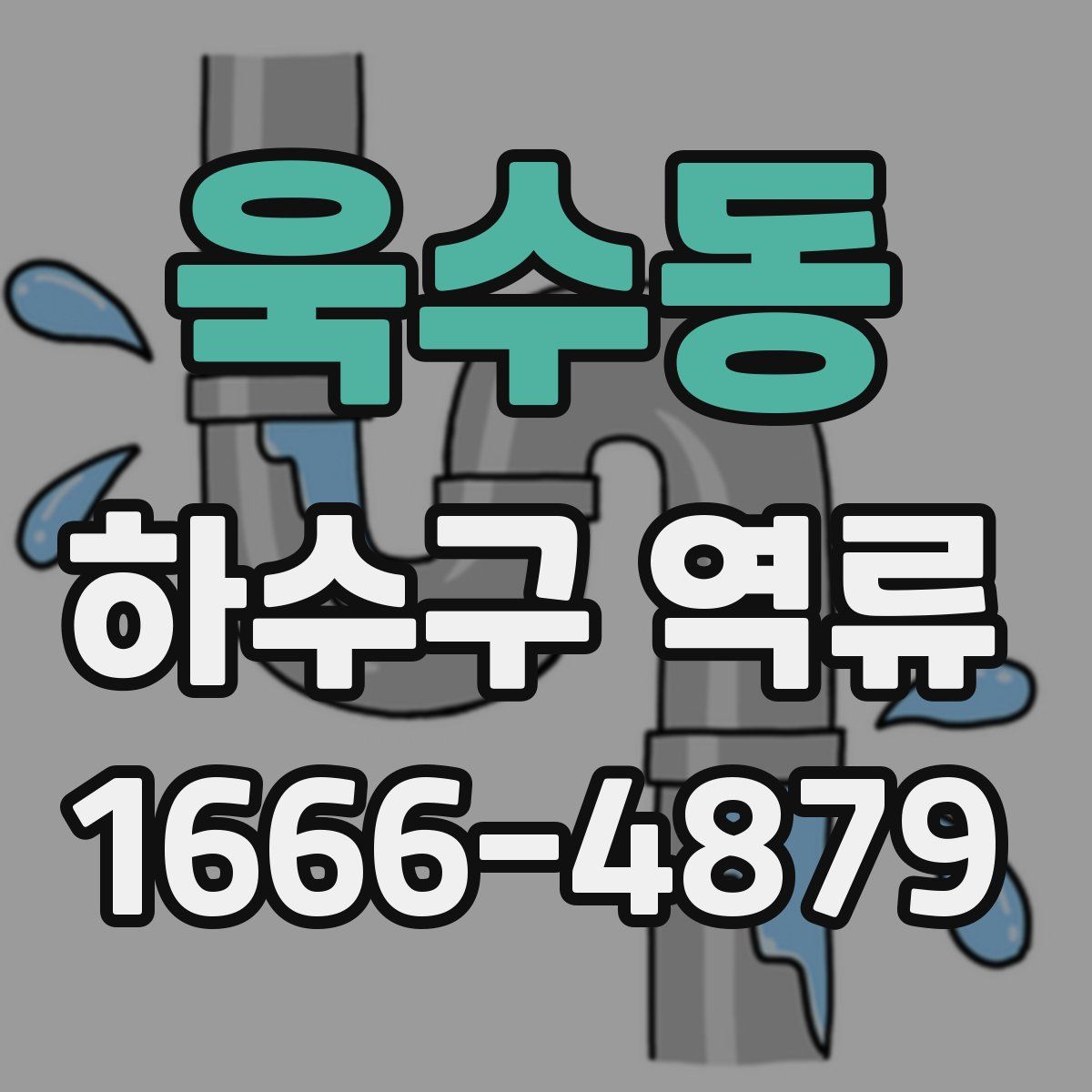 욱수동 하수구 역류