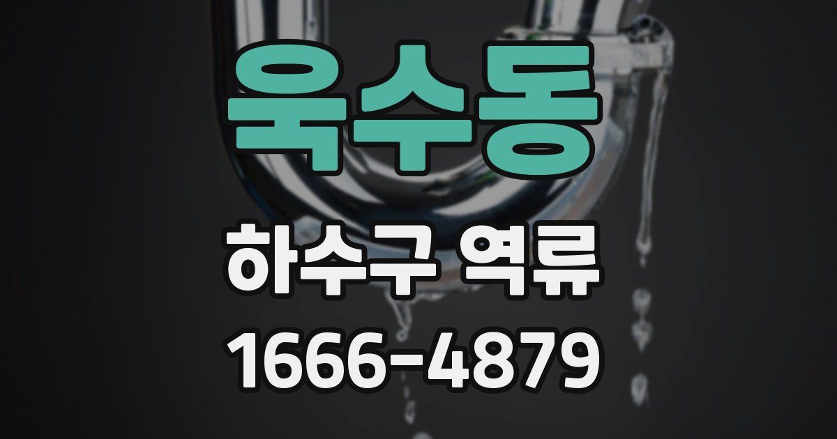 욱수동 하수구 역류