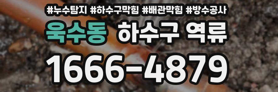 욱수동 하수구 역류