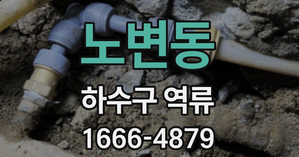 노변동 하수구 역류