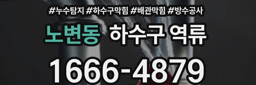 노변동 하수구 역류