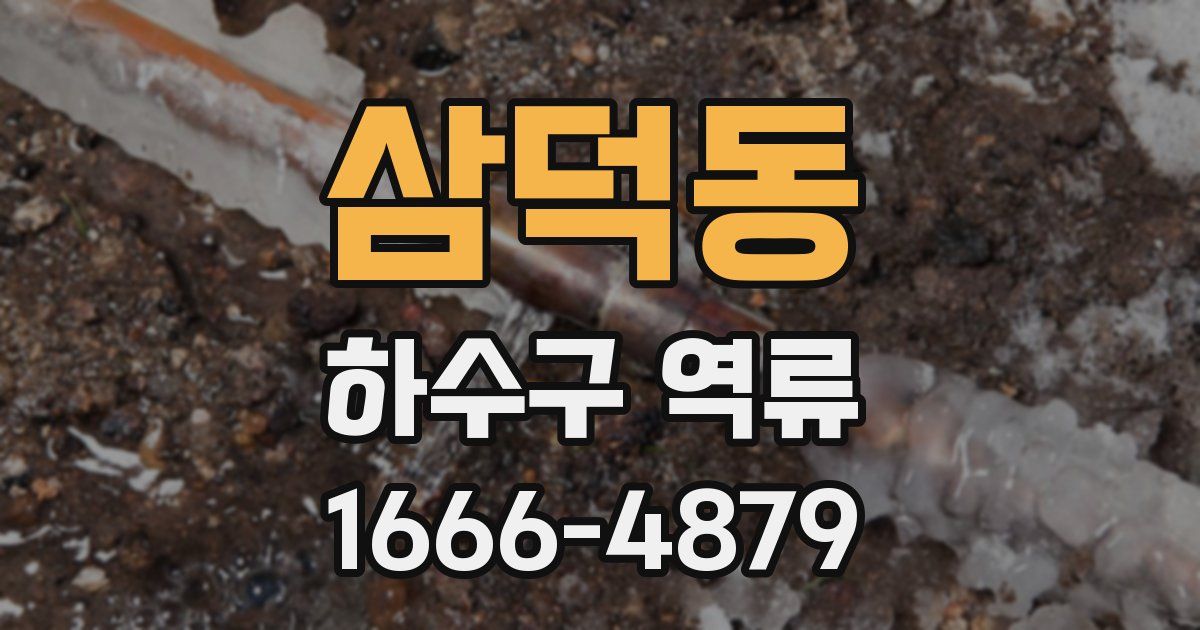 삼덕동 하수구 역류